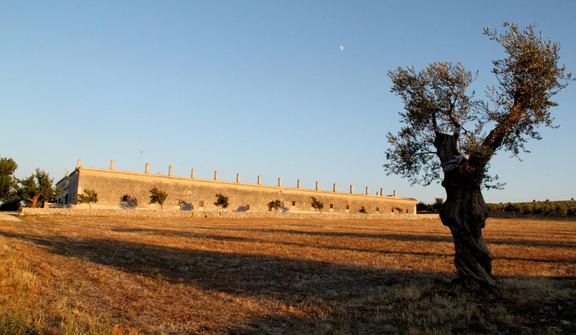 Lama Di Luna Biomasseria Montegrosso Екстер'єр фото